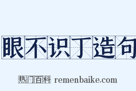 眼不识丁造句是什么意思的图片